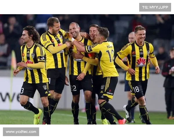 澳超墨尔本城与武汉女足建立姐妹俱乐部共享球探系统推动合作发展 澳超墨尔本城与武汉女足建立姐妹俱乐部共享球探系统推动合作发展